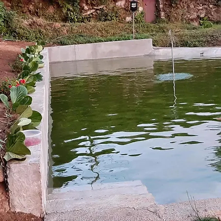 Casa Do Loureiro - Apartment