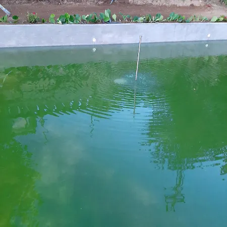 Appartamento Casa Do Loureiro - *