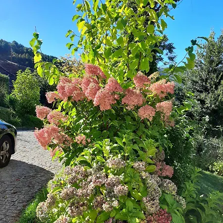 Casa Do Loureiro - Apartment