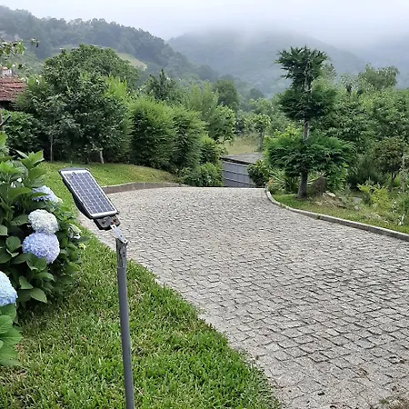 Apartment Casa Do Loureiro - *