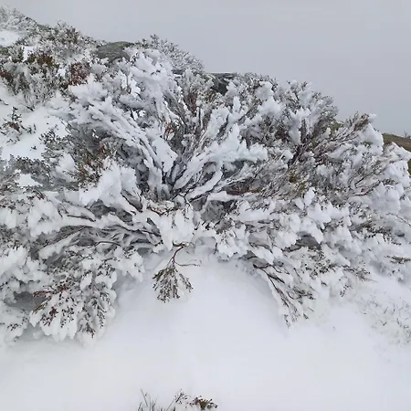 Casa Do Loureiro - Appartamento Paradela (Vila Real)