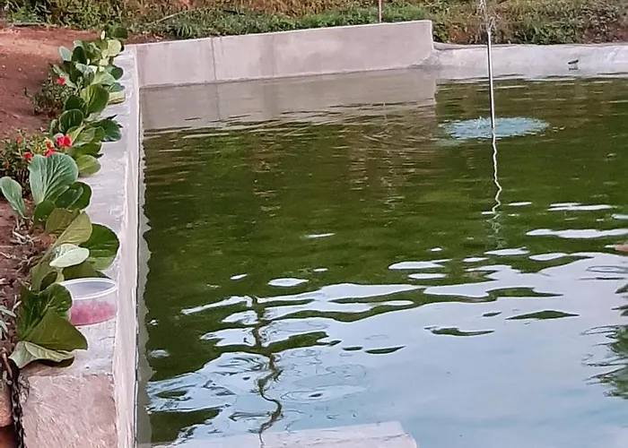 Casa Do Loureiro - Διαμέρισμα