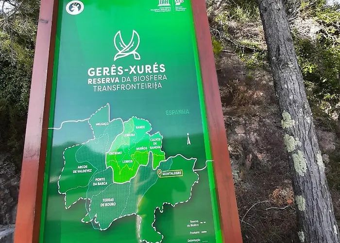 Casa Do Loureiro - Paradela (Vila Real)