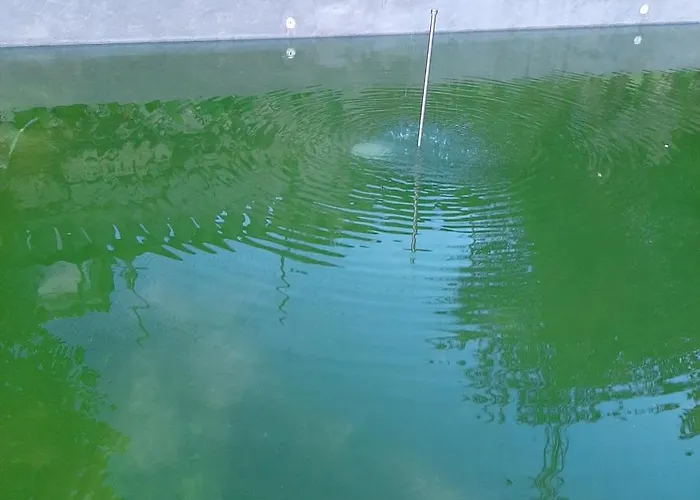 Διαμέρισμα Casa Do Loureiro - *