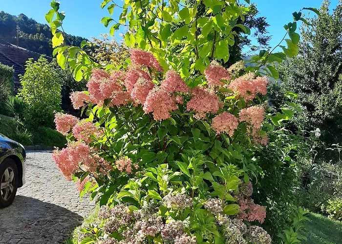 Casa Do Loureiro - Διαμέρισμα