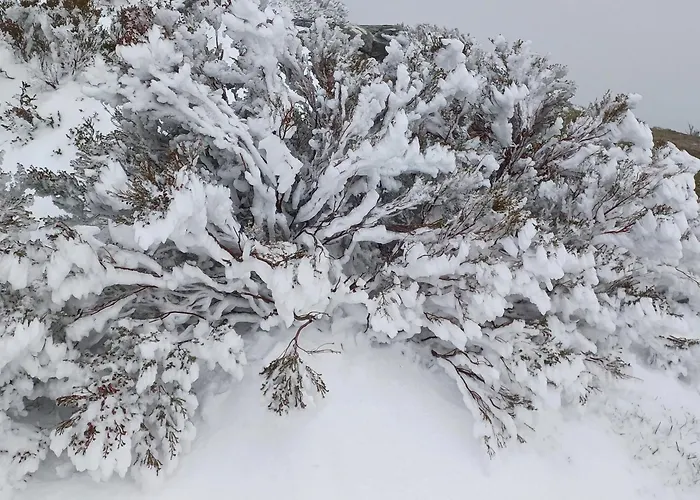 Casa Do Loureiro - Lejlighed Paradela (Vila Real)